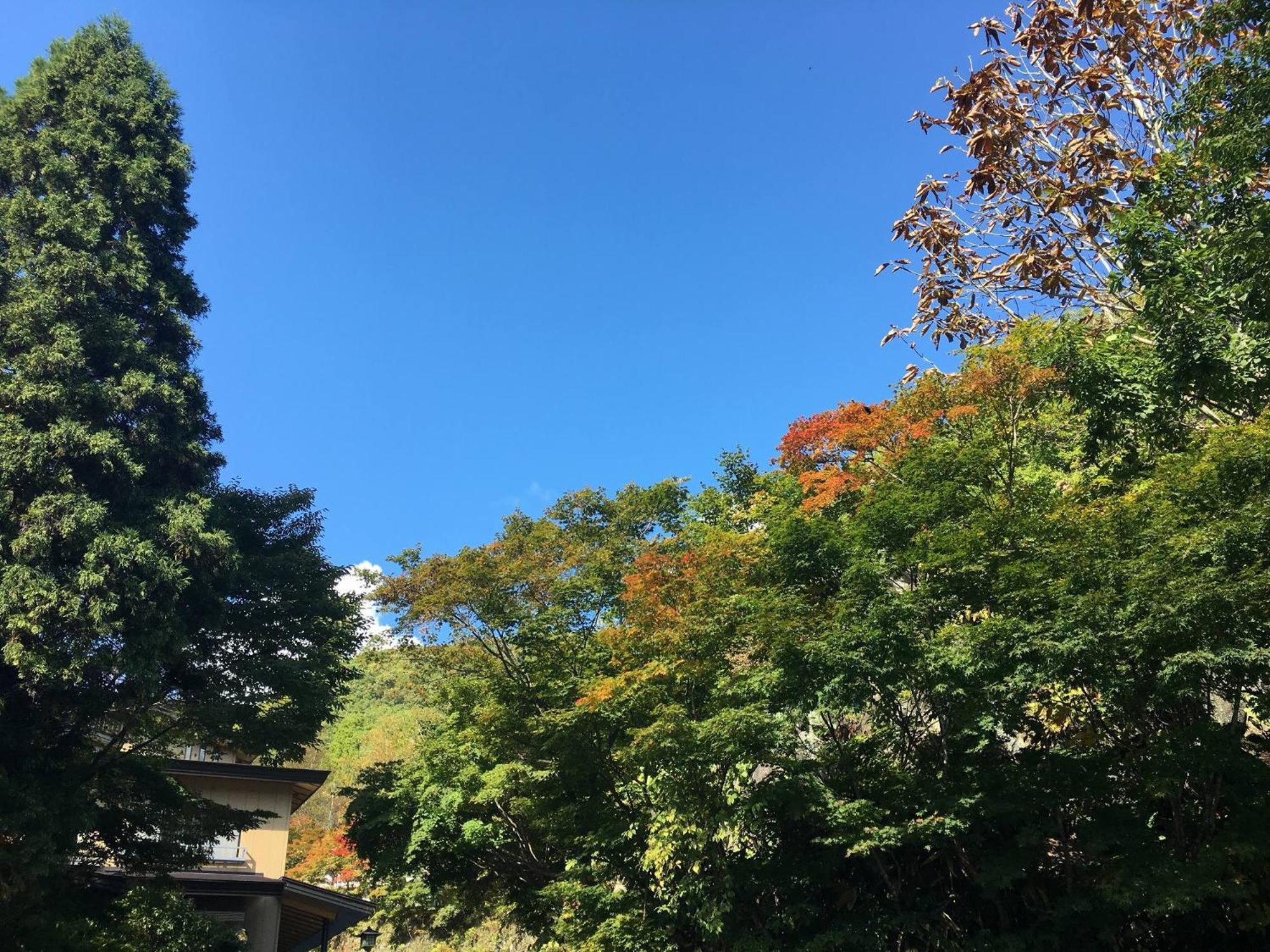 Takaragawa Onsen Ousenkaku Hotel Minakami Ngoại thất bức ảnh