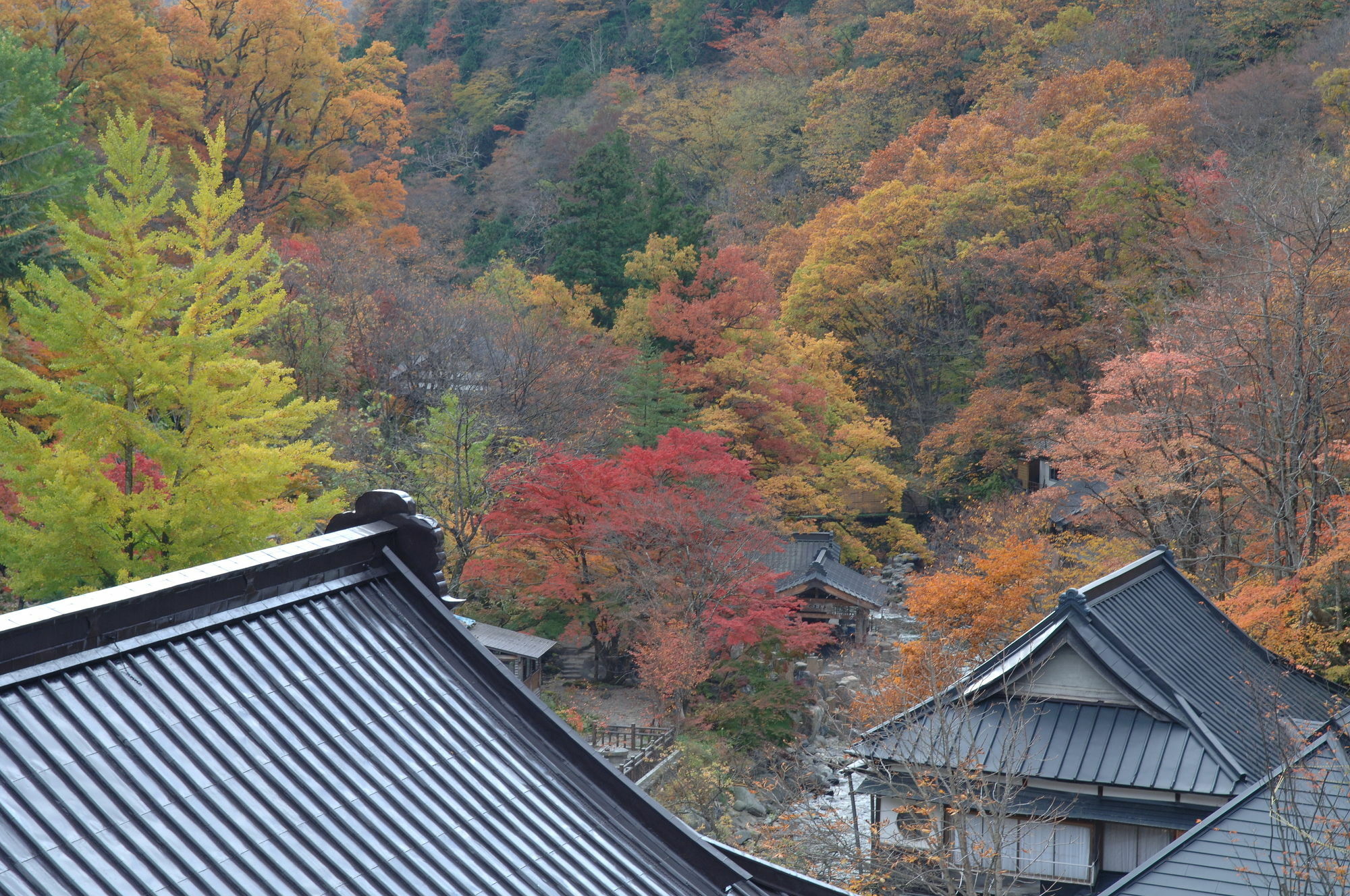 Takaragawa Onsen Ousenkaku Hotel Minakami Ngoại thất bức ảnh